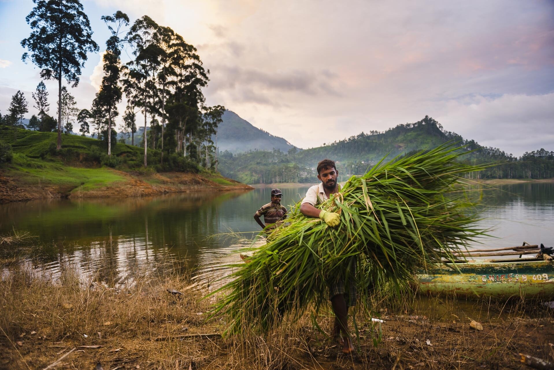 National Geographic Traveller Magazine Sri Lanka Article Farmer working in the Nuwara Eliya District Sri Lanka Highlands Sri Lanka Asia