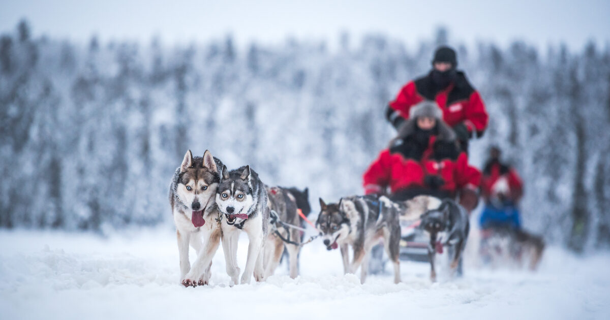 Matthew Williams-Ellis - Award-Winning Travel Photographer